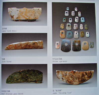 2005y11.jpg