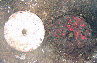 2005y34.jpg
