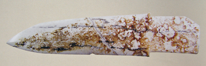 CHA15.jpg