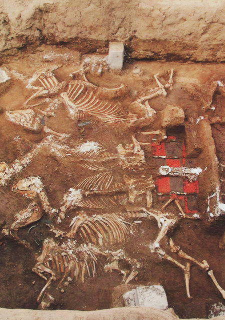 nara30.jpg
